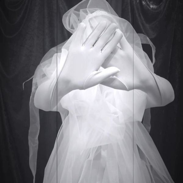 performances - JELLY BRIDE - 2019 performances - JELLY BRIDE - 2019