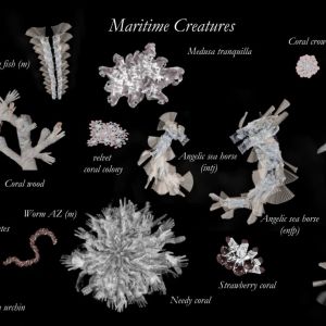 ACTING MATTER - creatures - MARITIME CREATURES - 2021