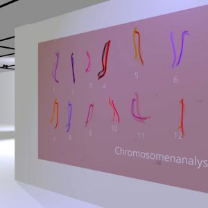 virtual exhibition documentary 1.1.17 virtual exhibition documentary 1.1.17