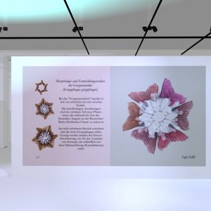 virtual exhibition documentary 1.1.8 virtual exhibition documentary 1.1.8