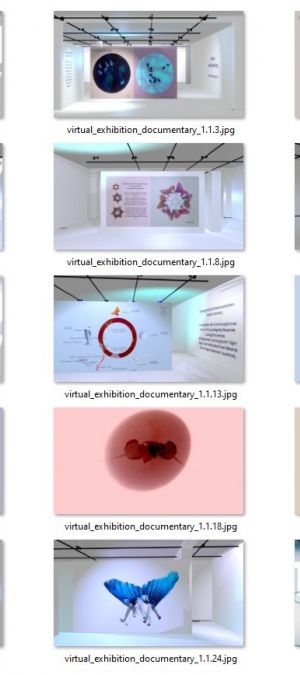 virtual exhibition documentary all virtual exhibition documentary all