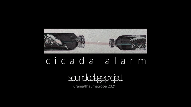 cicadaalarmkurz2 cicadaalarmkurz2