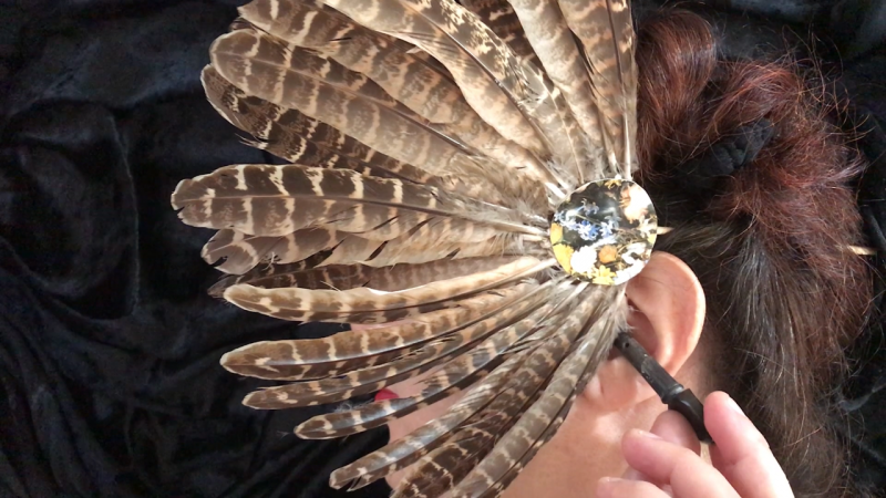 bird call bird call